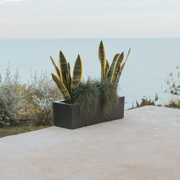JARA 60 X 20 COLORE - immagine 6