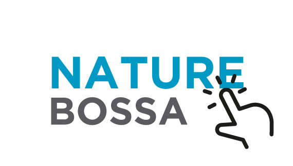 nature bossa